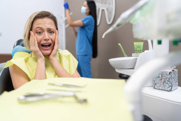 Best Emergency Dental Care for Broken or Chipped Teeth in River Ridge, FL